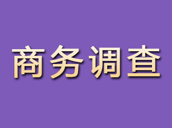 济源商务调查